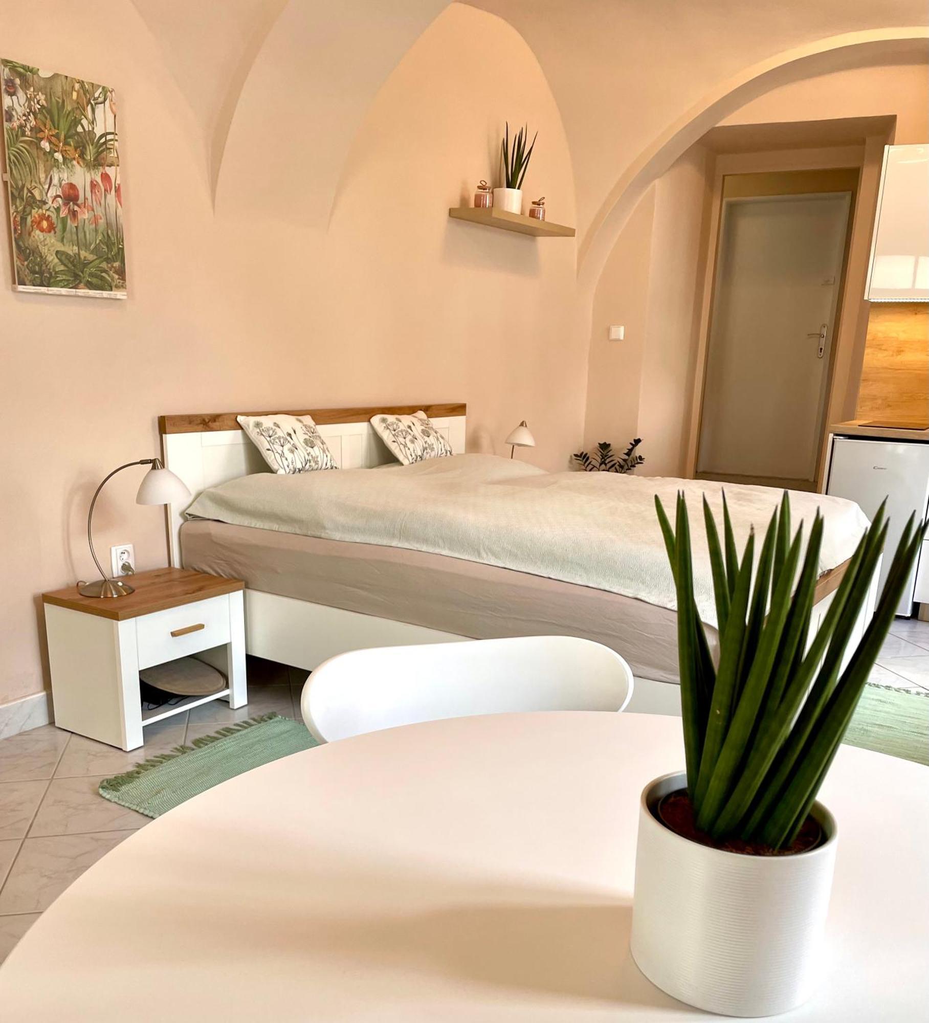 Apartman Dominikanska Litoměřice Екстериор снимка